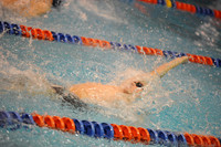 ILSW12_100BACK_F018