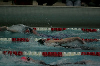 wiswg09_2imed_2009
