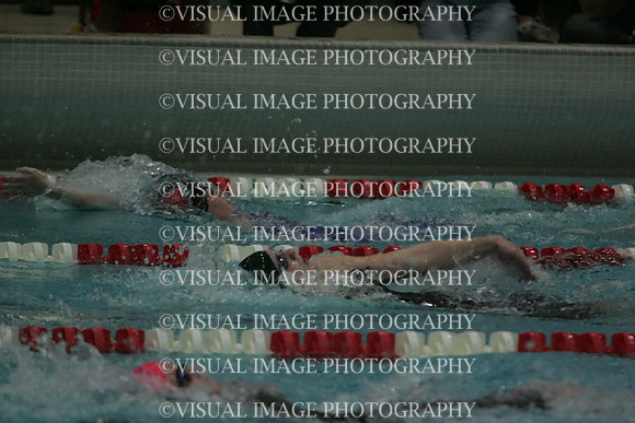wiswg09_2imed_2009