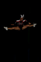 ILCHEER_11_C15019