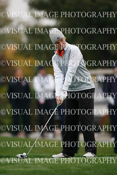 ILGF_13_T312003