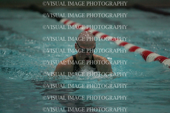 wisw09_1breast_2013