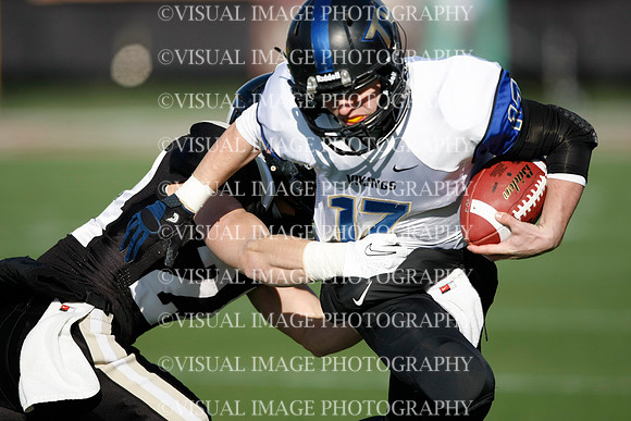 ILFB_13_10039