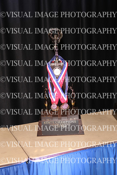 ILCHEER_17_CA004