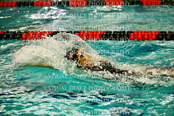 WISWG_24_S20020