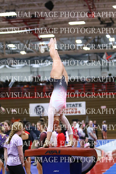 WIGYMG25_VAULT_I030
