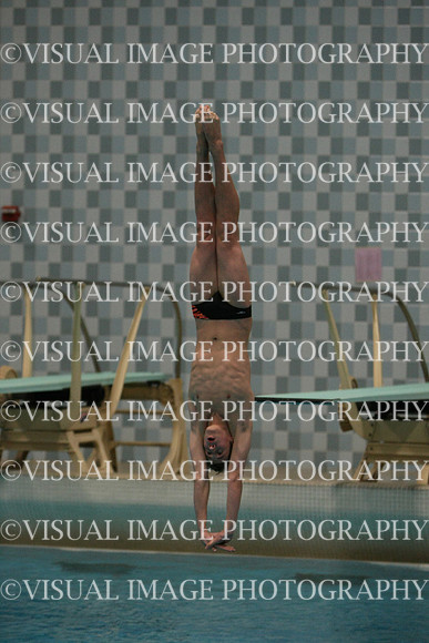 wisw10_dive_1024