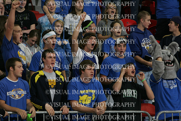 wisc_09_s41006