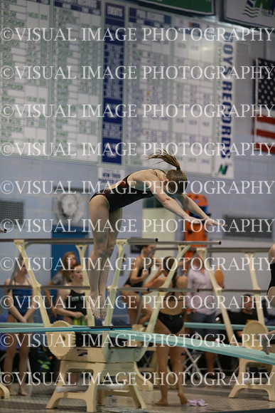 ILSWG13_DIVE_030