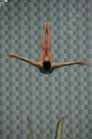 wiswg09_dive_2007
