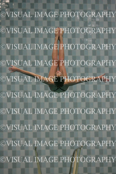 wiswg09_dive_2007