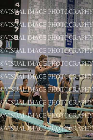ILSWG13_DIVE_010