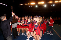 ILCHEER_17_CA015