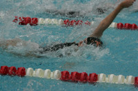 wiswg09_2med_2004