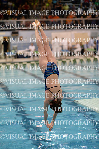 ILSWG13_DIVE_022