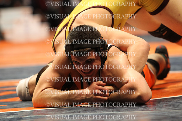 ILIWR12_195_31028