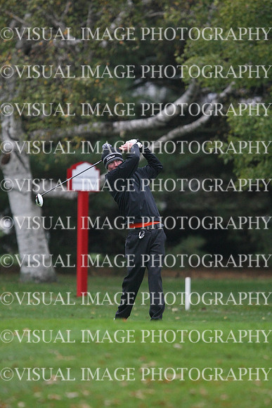 ILGF_13_T207033