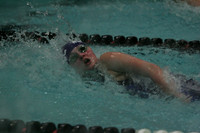 wiswg09_2free_2010