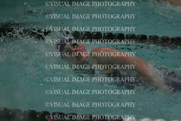 wiswg09_2free_2010