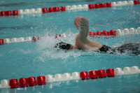 wisw09_2free_2007
