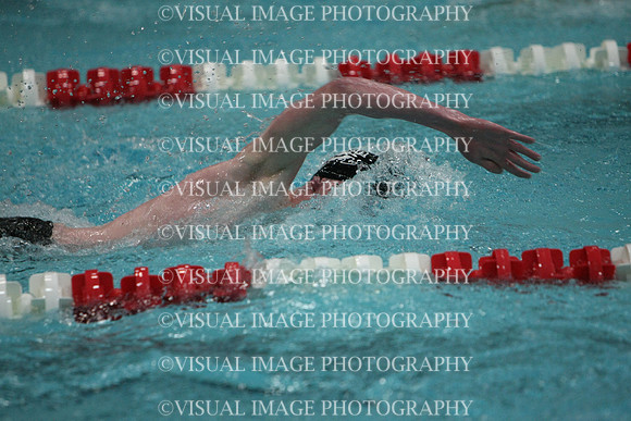 wisw10_5free_2011