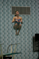 wiswg09_dive_2006