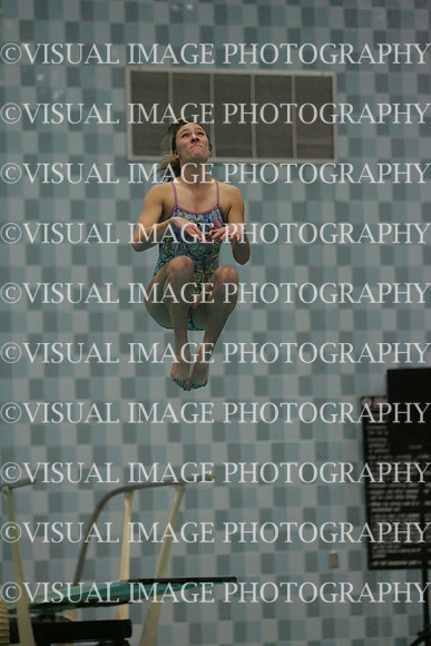 wiswg09_dive_2006