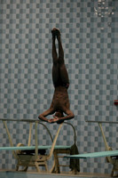 wisw10_dive_1008