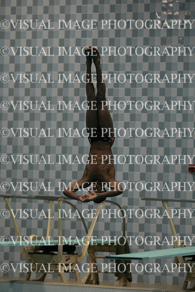wisw10_dive_1008