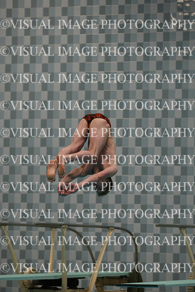 wisw10_dive_1030