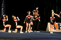 ILCHEER_11_C15017
