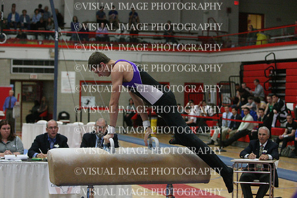 ILGYM14_PHORSE_I044