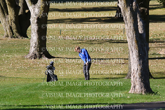 ILGF_24_T208003