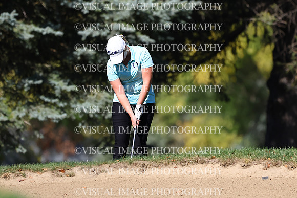 ILGFG_24_209045