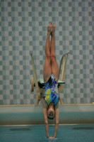 wiswg09_dive_2010