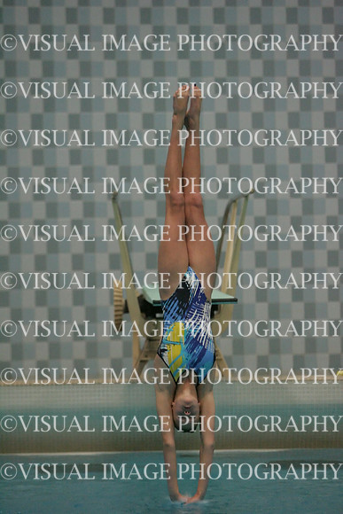 wiswg09_dive_2010