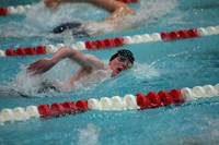 500 freestyle