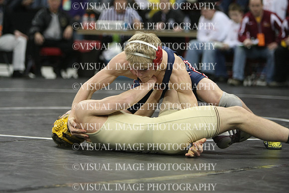 wiwr10_135_s2014