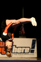 ILCHEER_15_M12020