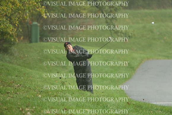 WIGFG_13_IND2010