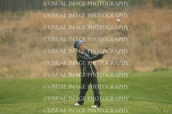 WIGFG_13_T102006