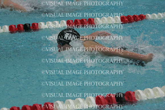 wiswg09_2imed_1011