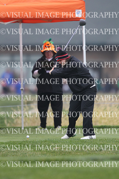 ILGFG_13_IND10019