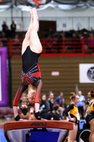 WIGYMG25_VAULT_T018