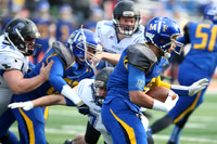 ILFB_14_20013