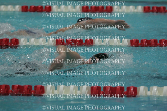 wiswg09_5free_1009