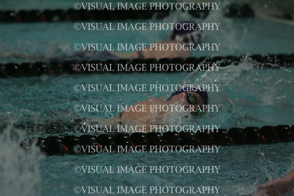 wiswg09_2free_2041