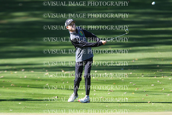 ILGF_24_T211024