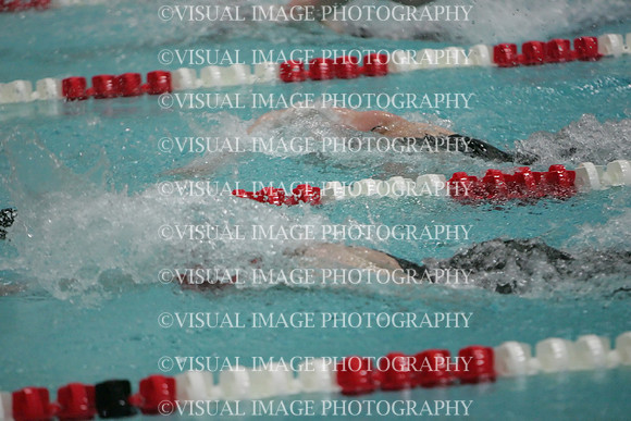 wisw09_2free_2045