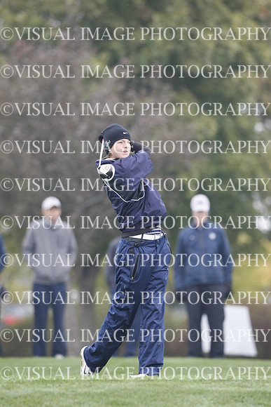 ILGF_13_T311018